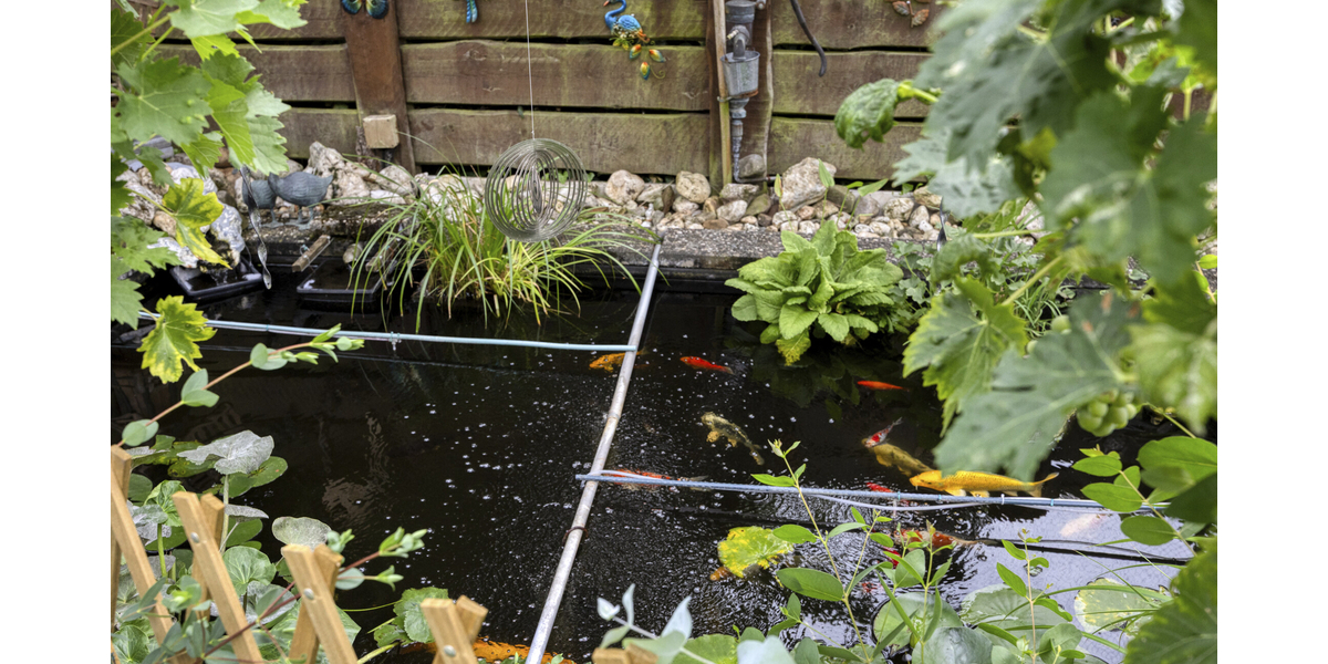 Garten 3